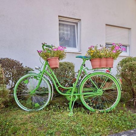 Apartamento Mona - Idyllisches Oertchen Buchen  Exterior foto